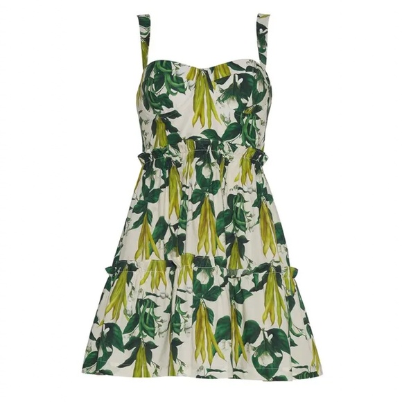 NEW Cara Cara Audrey Mini Dress - Sweet Pea Egret Green Floral Cotton Sz6